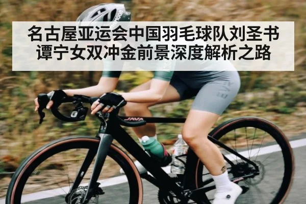 名古屋亚运会中国羽毛球队刘圣书谭宁女双冲金前景深度解析之路 | kaiyun
